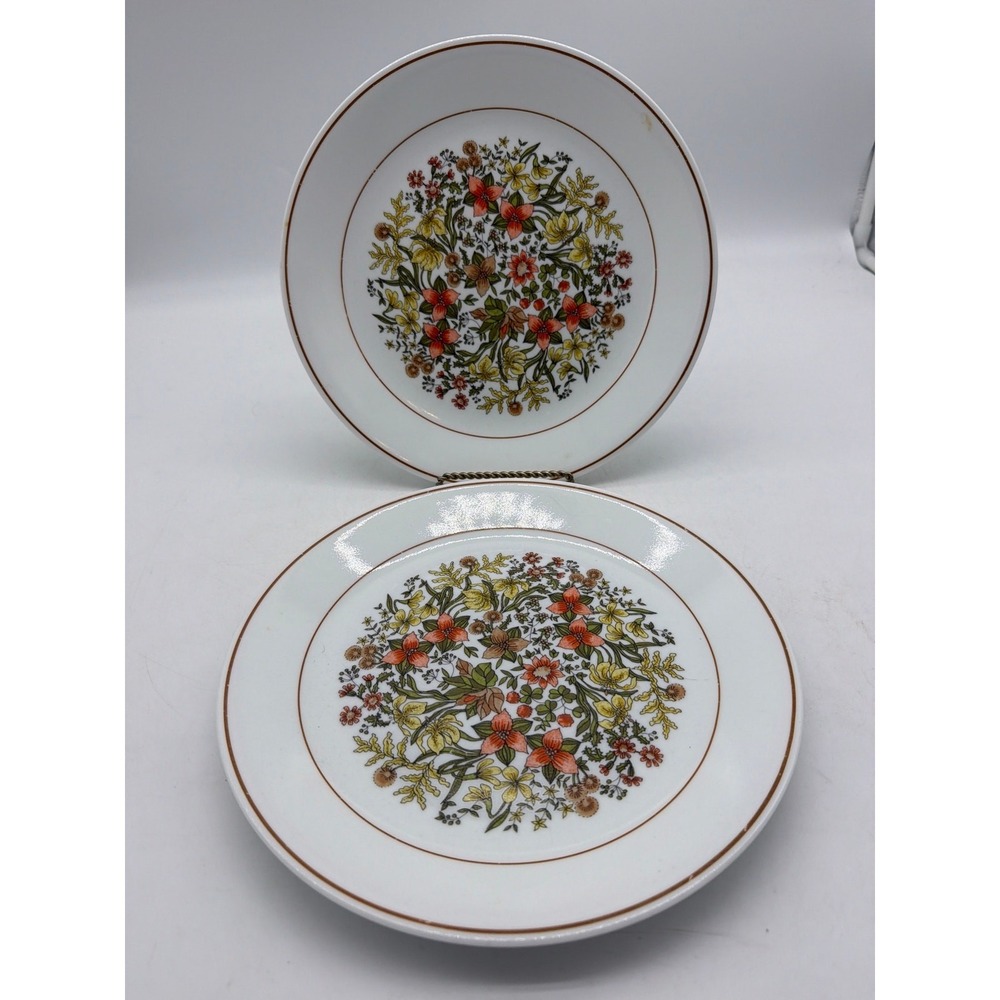 4 Vintage Corelle INDIAN SUMMER 8.5" Dinner Plates
